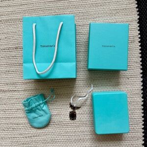 Tiffany & Co Gift Bag + Jewelry Box with LIMITED EDITION Bird Christmas Ornament